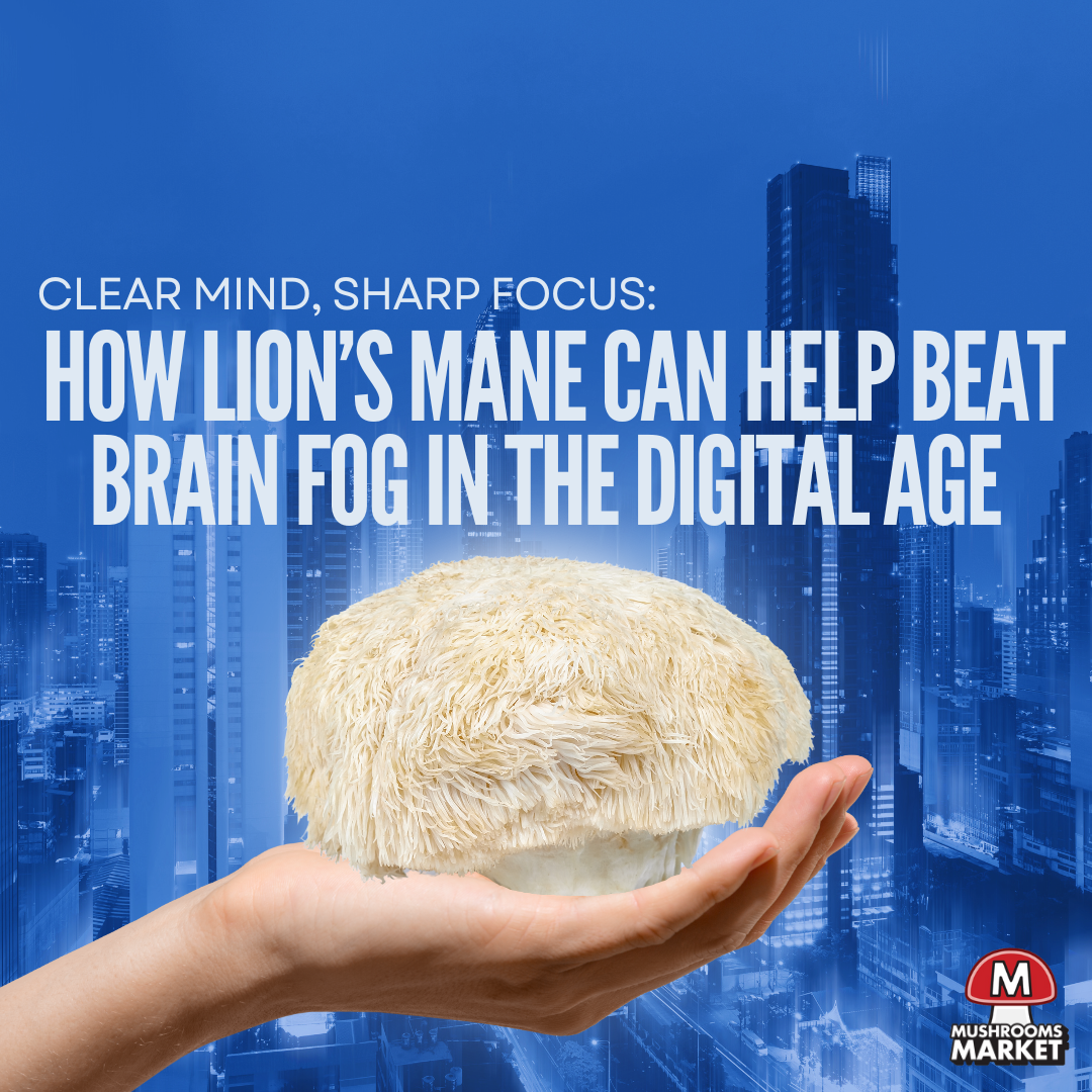 Clear Mind, Sharp Focus: How Lion’s Mane Can Help Beat Brain Fog in the Digital Age