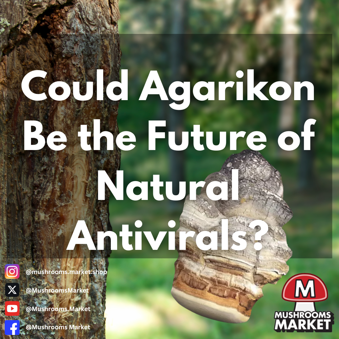 Could Agarikon Be the Future of Natural Antivirals?