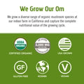 Om Mushroom Superfood - Mushroom Matcha Latte Blend - 80g - 10 Servings image 3