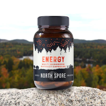North Spore - Energy Organic Multi-Mushroom Extract Capsules - 60ct - 60 Servings image 2