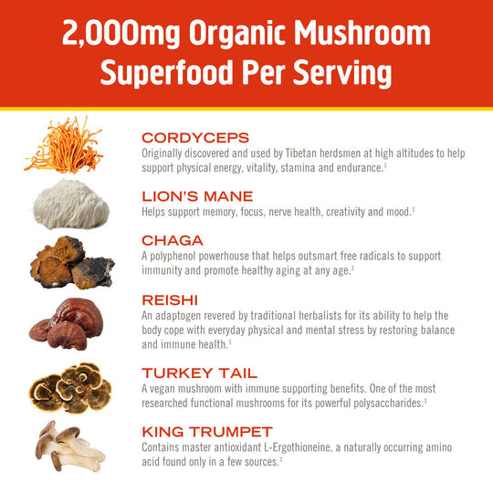 Om Mushroom Superfood - Mushroom Morning Energy Blend - 240g - 30 Servings image 5