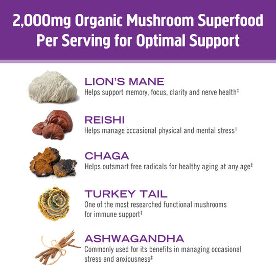 Om Mushroom Superfood - Mushroom Hot Chocolate Blend - 240g - 30 Servings image 3
