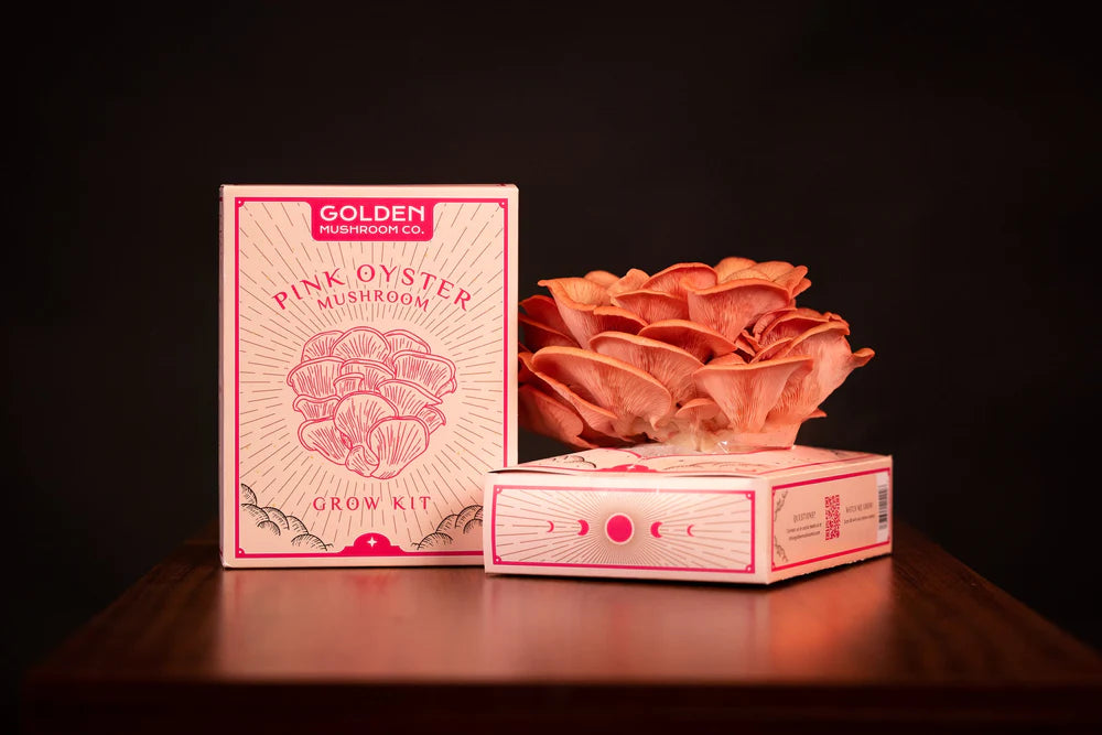 Golden Mushroom Co - Pink Oyster Mushroom Grow Kit image 1