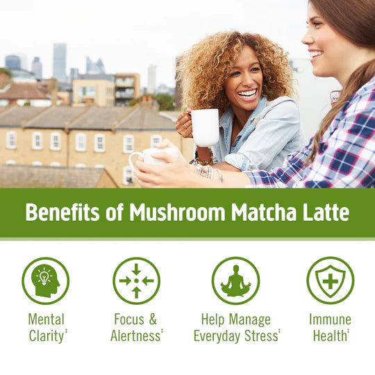Om Mushroom Superfood - Mushroom Matcha Latte Blend - 240g - 30 Servings image 2