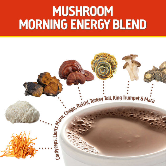 Om Mushroom Superfood - Mushroom Morning Energy Blend - 240g - 30 Servings image 2