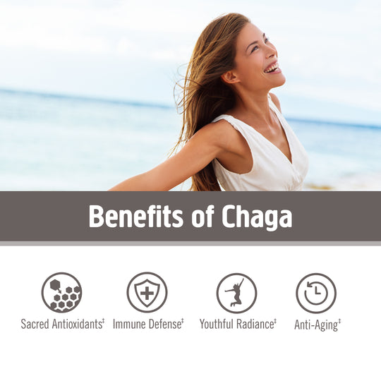 Om Mushroom Superfood - Chaga Organic Mushroom Powder - 200g - 100 Servings image 4