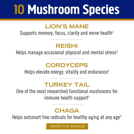 Om Mushroom Superfood - Master Blend Plant‑Based Protein - Creamy Vanilla - 518g - 14 Servings image 4