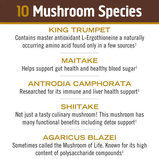 Om Mushroom Superfood - Master Blend Plant‑Based Protein - Creamy Chocolate - 518g - 14 Servings image 4
