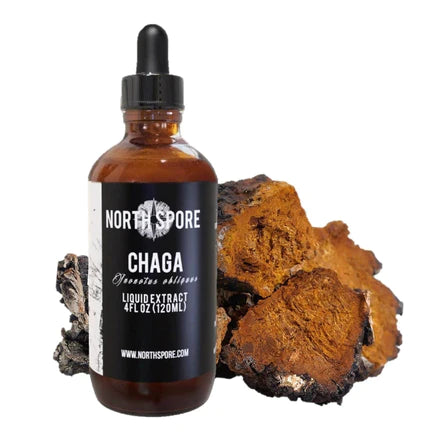 North Spore - Chaga Mushroom Tincture - 120mL - 120 Servings image 0