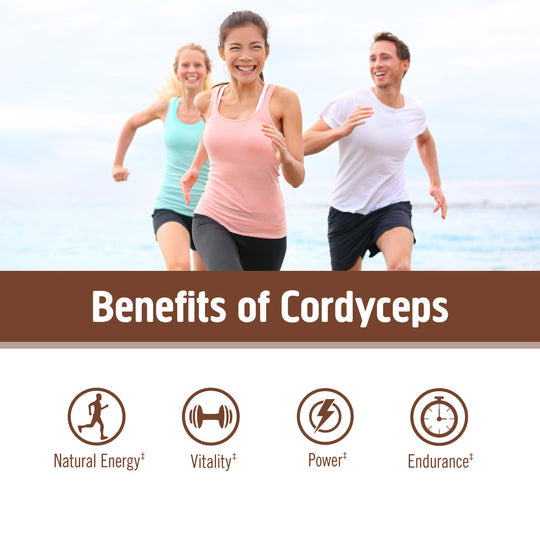 Om Mushroom Superfood - Cordyceps Organic Mushroom Powder - 200g - 100 Servings image 3