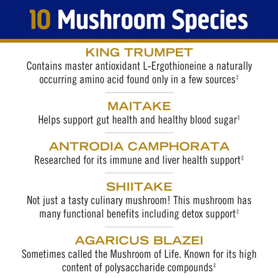 Om Mushroom Superfood - Master Blend Plant‑Based Protein - Creamy Vanilla - 518g - 14 Servings image 3