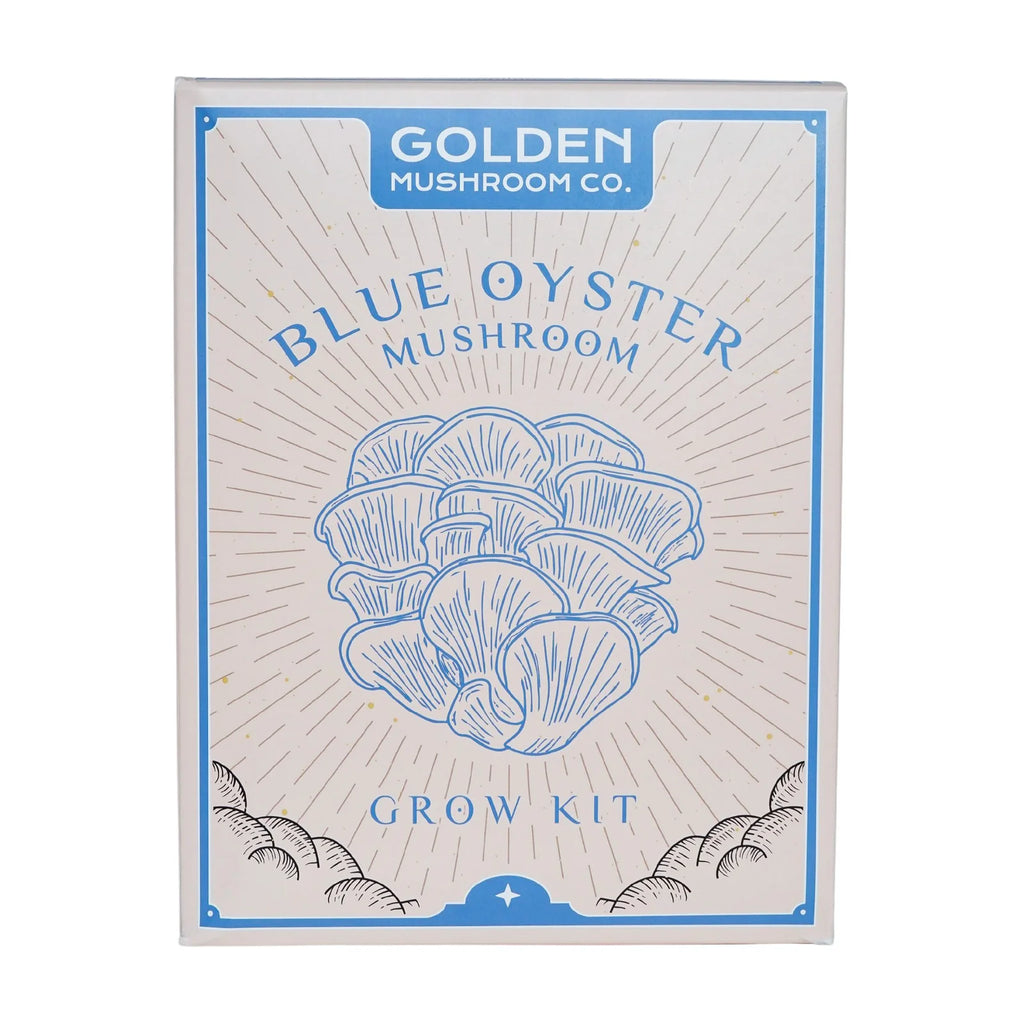 Golden Mushroom Co - Blue Oyster Mushroom Grow Kit image 1
