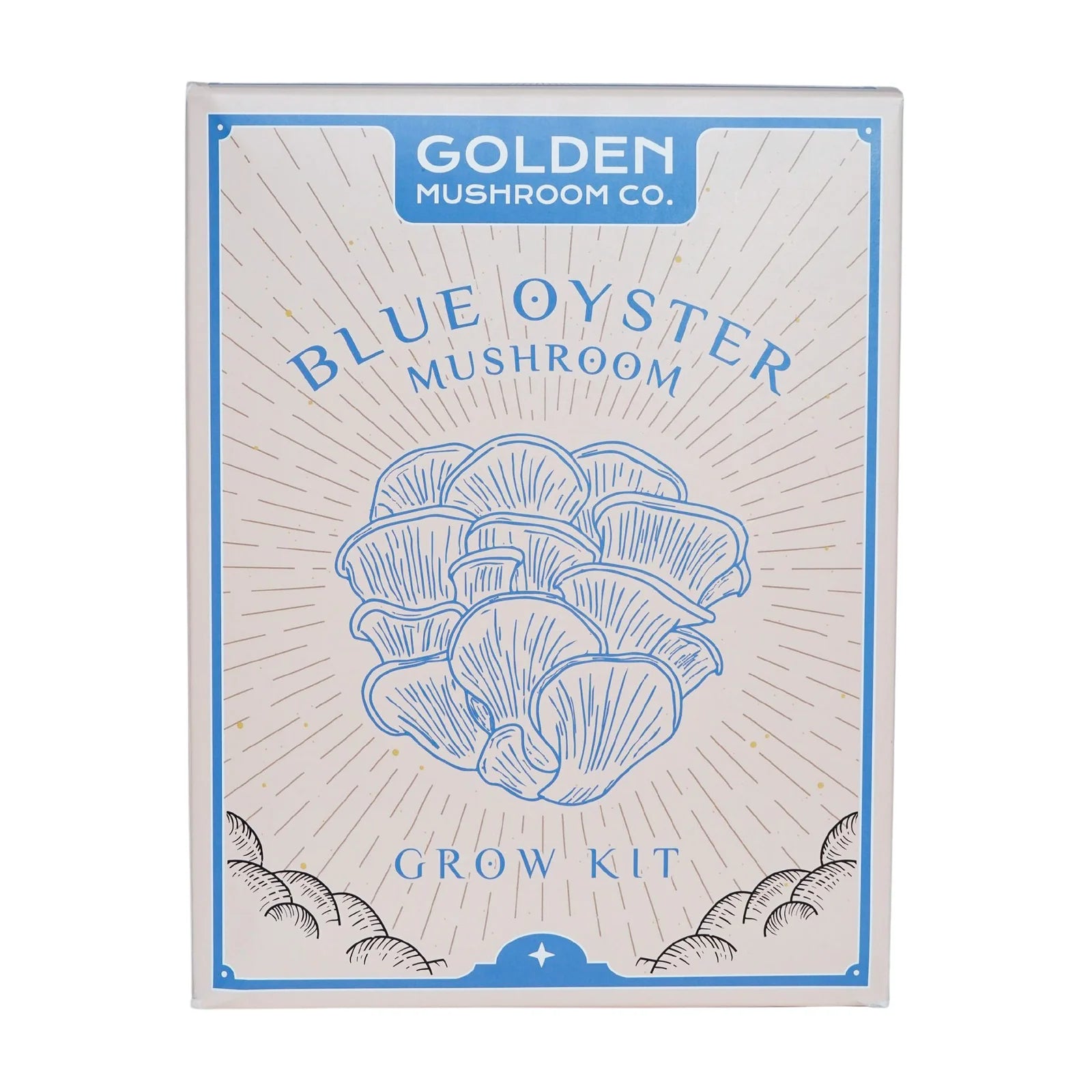 Golden Mushroom Co - Blue Oyster Mushroom Grow Kit image 1