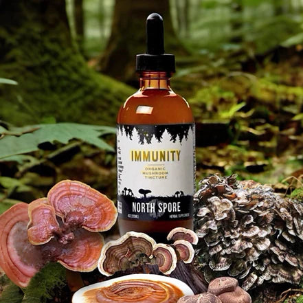 North Spore - Immunity Mushroom Blend Tincture - 120mL - 120 Servings image 3