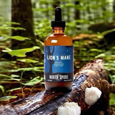 North Spore - Lion's Mane Mushroom Tincture - 120mL - 120 Servings image 3
