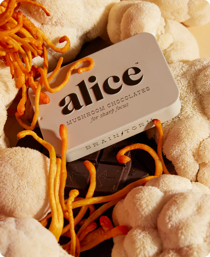 Alice Mushrooms - Brainstorm Focus Lion's Mane + Cordyceps Mushroom Chocolates - 16 Servings image 3