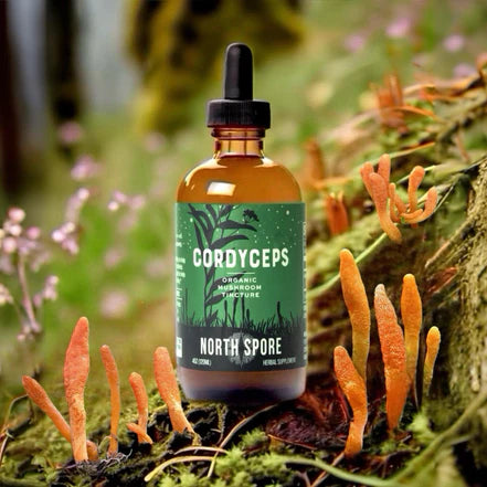 North Spore - Cordyceps Mushroom Tincture - 120mL - 120 Servings image 4