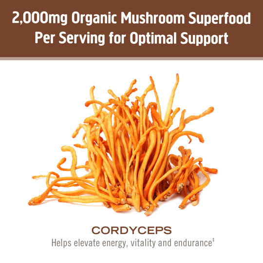 Om Mushroom Superfood - Cordyceps Organic Mushroom Powder - 200g - 100 Servings image 2