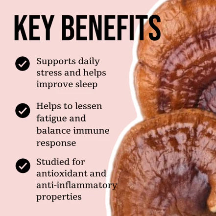 North Spore - Reishi Mushroom Tincture - 120mL - 120 Servings image 2