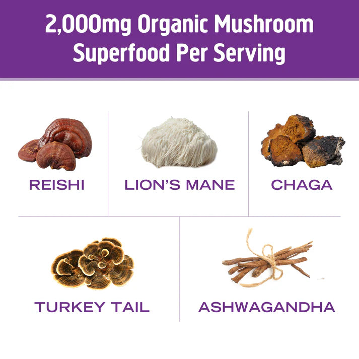 Om Mushroom Superfood - Mushroom Hot Chocolate Blend - 80g - 10 Servings image 4