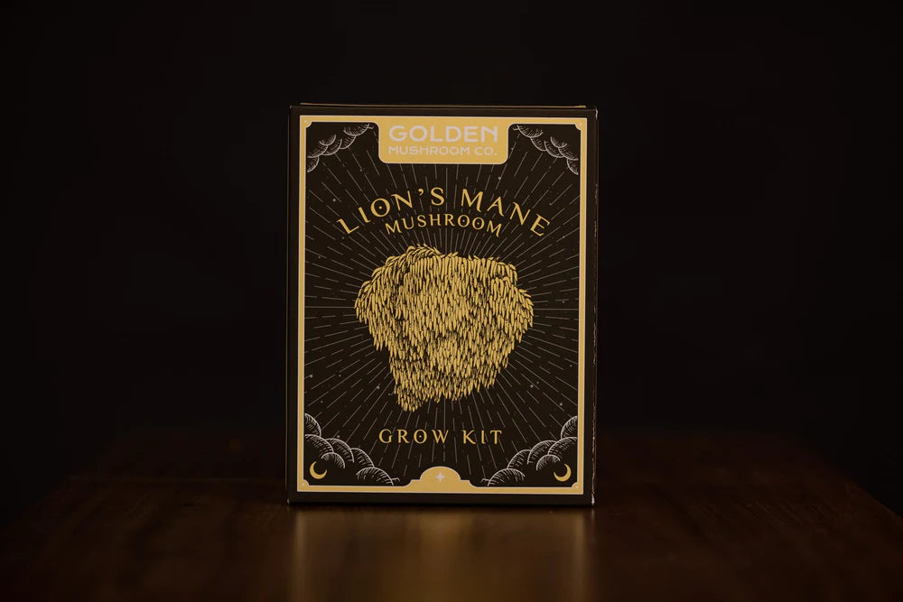Golden Mushroom Co - Lion's Mane Mushroom Grow Kit (Copy) image 2
