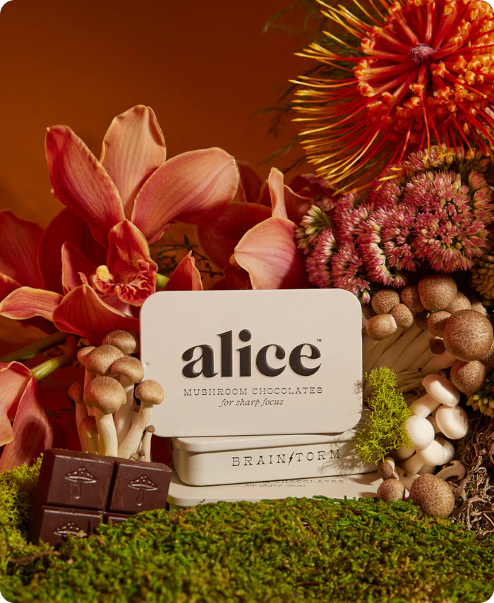 Alice Mushrooms - Brainstorm Focus Lion's Mane + Cordyceps Mushroom Chocolates - 16 Servings image 1