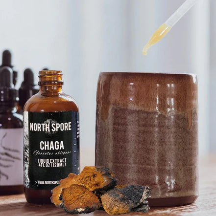 North Spore - Chaga Mushroom Tincture - 120mL - 120 Servings image 1