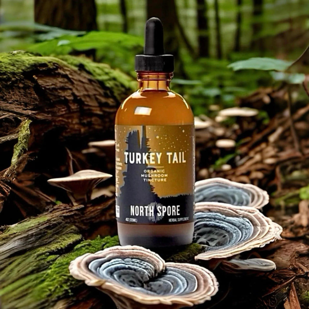 North Spore - Turkey Tail Mushroom Tincture - 120mL - 120 Servings image 5
