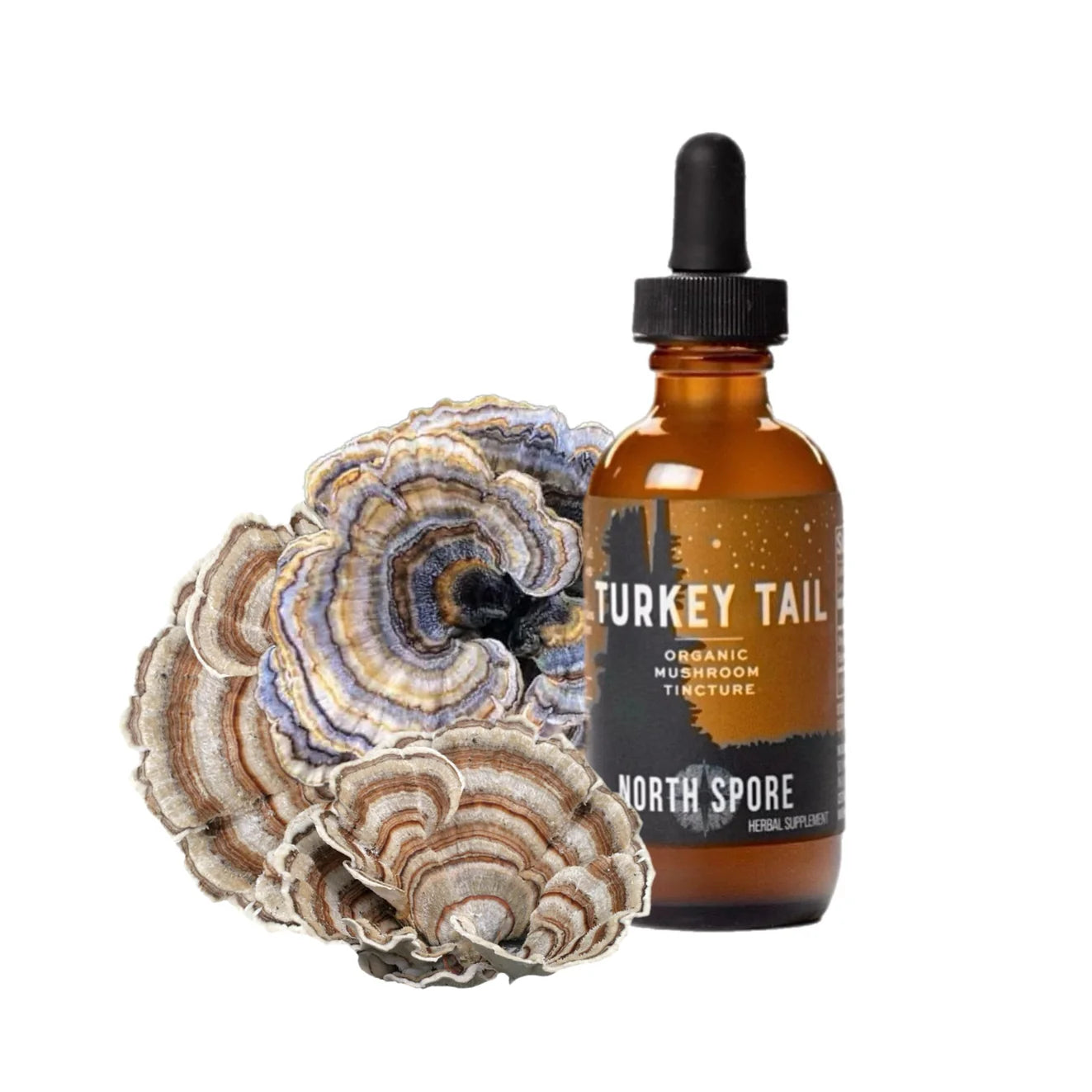 North Spore - Turkey Tail Mushroom Tincture - 120mL - 120 Servings image 1