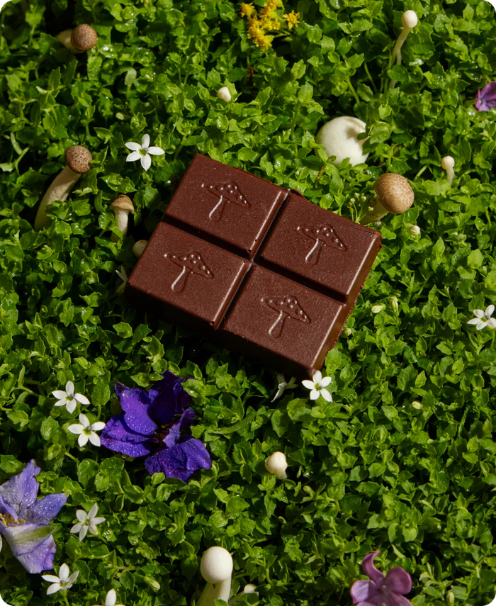 Alice Mushrooms - Nightcap Deep Sleep Reishi Mushroom Chocolates - 16 Servings image 3