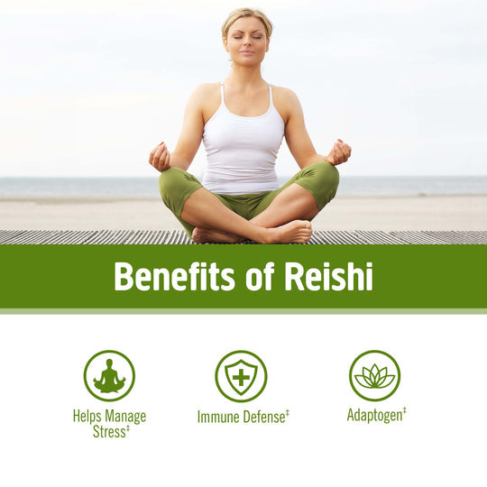 Om Mushroom Superfood - Reishi Organic Mushroom Powder - 200g - 100 Servings image 4