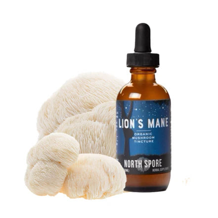 North Spore - Lion's Mane Mushroom Tincture - 120mL - 120 Servings image 1