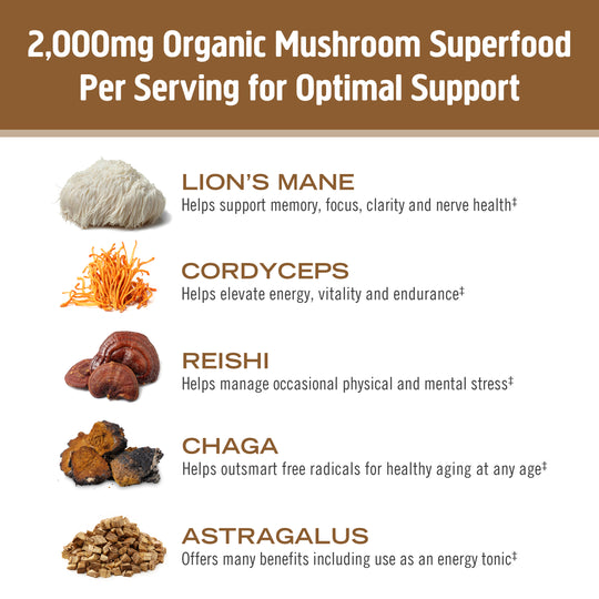 Om Mushroom Superfood - Mushroom Coffee Latte Blend - 240g - 30 Servings image 3