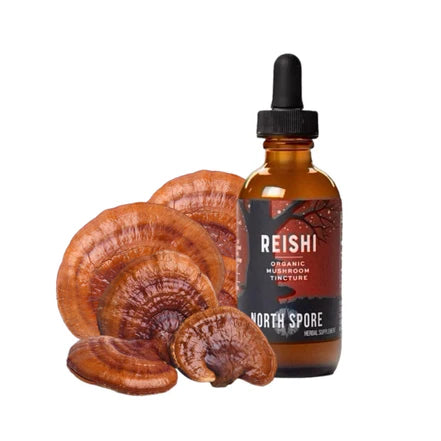 North Spore - Reishi Mushroom Tincture - 120mL - 120 Servings image 1