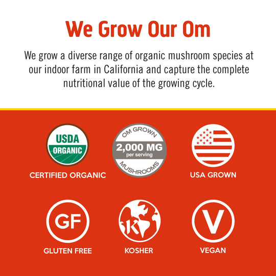 Om Mushroom Superfood - Mushroom Morning Energy Blend - 240g - 30 Servings image 3