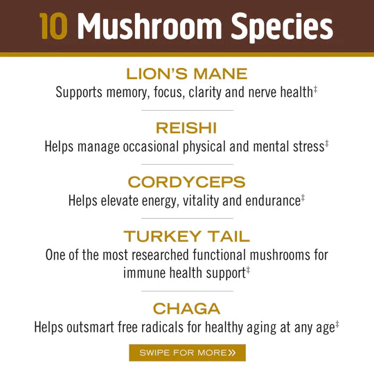 Om Mushroom Superfood - Master Blend Plant‑Based Protein - Creamy Chocolate - 518g - 14 Servings image 5