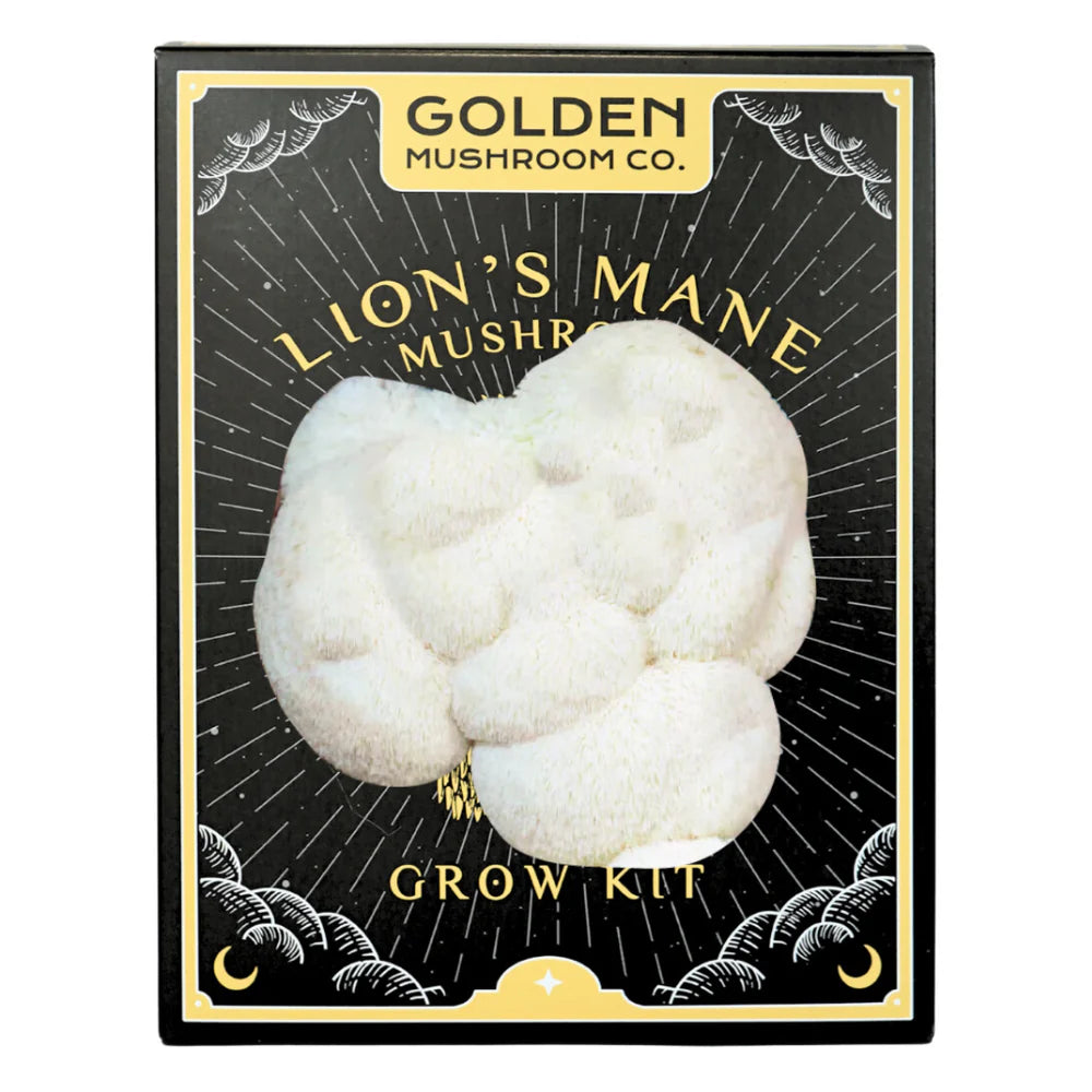 Golden Mushroom Co - Lion's Mane Mushroom Grow Kit (Copy) image 0
