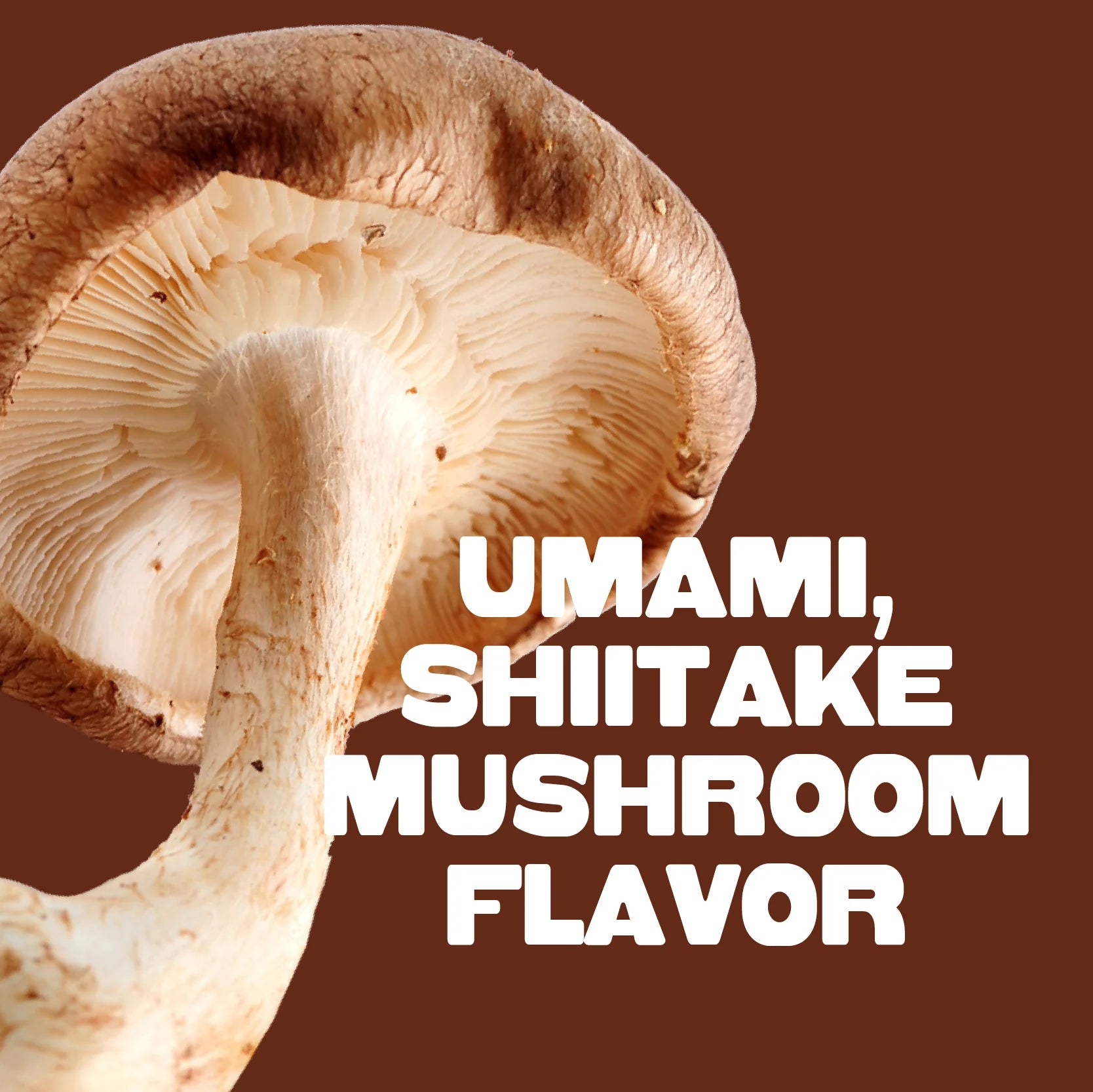 Pan's Mushroom Jerky - Teriyaki Mushroom Jerky - Shiitake - 62g - 2 Servings image 6