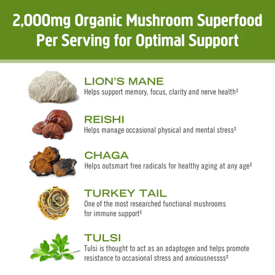 Om Mushroom Superfood - Mushroom Matcha Latte Blend - 240g - 30 Servings image 4