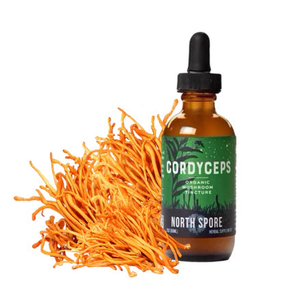North Spore - Cordyceps Mushroom Tincture - 120mL - 120 Servings image 1
