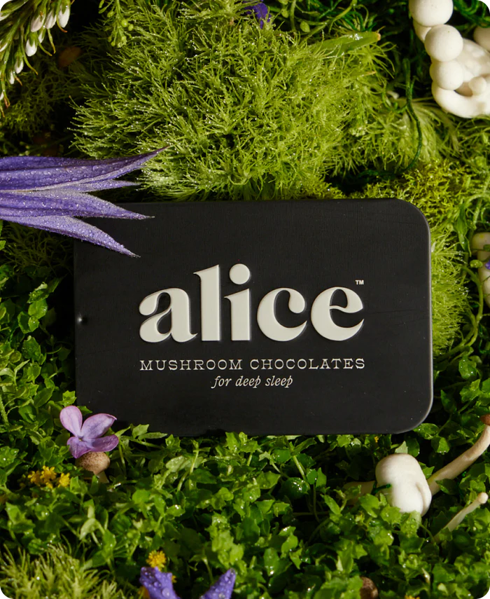 Alice Mushrooms - Nightcap Deep Sleep Reishi Mushroom Chocolates - 16 Servings image 1