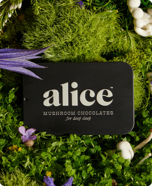 Alice Mushrooms - Nightcap Deep Sleep Reishi Mushroom Chocolates - 16 Servings image 1