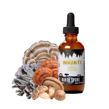 North Spore - Immunity Mushroom Blend Tincture - 120mL - 120 Servings image 1