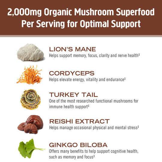 Om Mushroom Superfood - Mushroom Coffee Blend - 177g - 30 Servings image 3