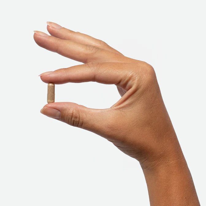 Plant People - Advanced Clear Focus Adaptogenic + Nootropic Brain Performance Capsules - 40ct - 680mg Focus Blend per Serving - 20 Servings image 2