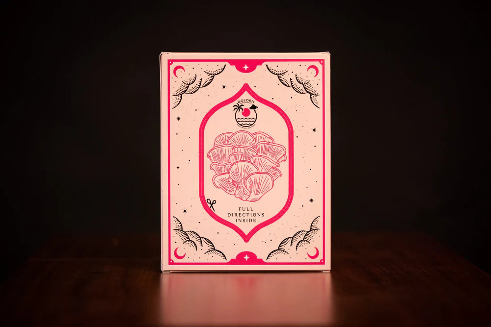 Golden Mushroom Co - Pink Oyster Mushroom Grow Kit image 2