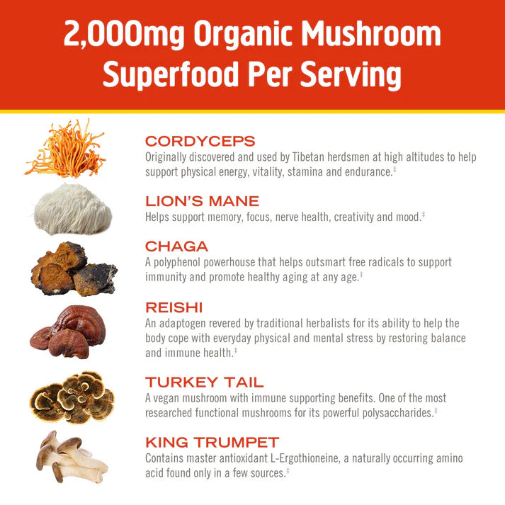 Om Mushroom Superfood - Mushroom Morning Blend - 80g - 10 Servings image 3