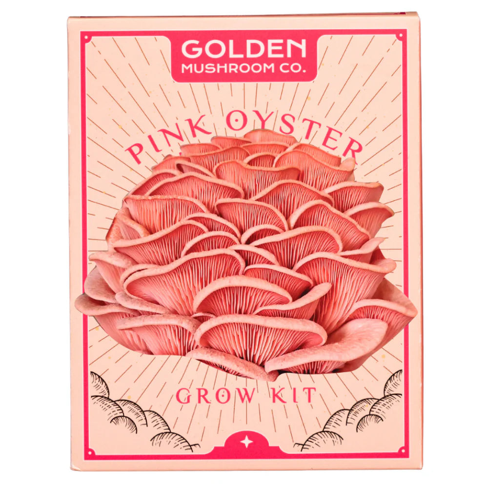 Golden Mushroom Co - Pink Oyster Mushroom Grow Kit image 0